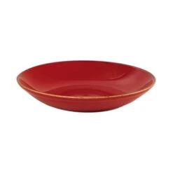 DPS Tableware Seasons Coupe Bowl 10.25" / 26cm Magma (Box Of 6)