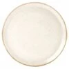 DPS Tableware Seasons Pizza Plate 28cm/11'' Oatmeal (Box Of 6) 2 DPS Tableware Seasons Pizza Plate 28cm/11'' Oatmeal (Box Of 6) -Dps Tableware dps tableware seasons pizza plate 28cm 11 oatmeal box of 6 p2916 12768 image