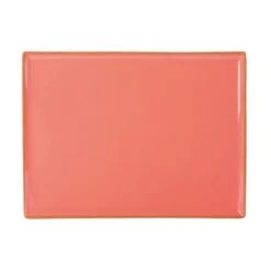 DPS Tableware Seasons Rectangular Platter 35 X 26cm Coral (Box Of 6)